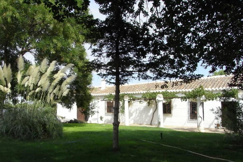 Vila Casa El Carmen Ciudad Real Exteriér fotografie