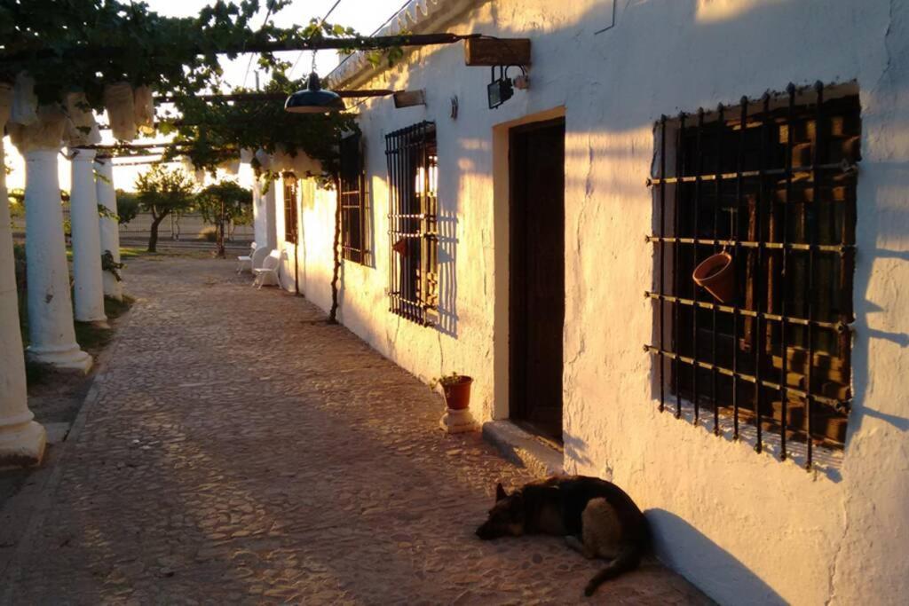 Vila Casa El Carmen Ciudad Real Exteriér fotografie
