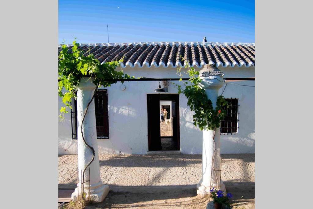 Vila Casa El Carmen Ciudad Real Exteriér fotografie