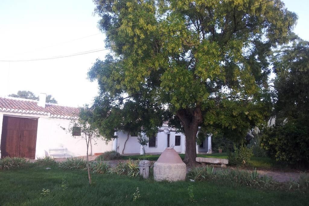 Vila Casa El Carmen Ciudad Real Exteriér fotografie